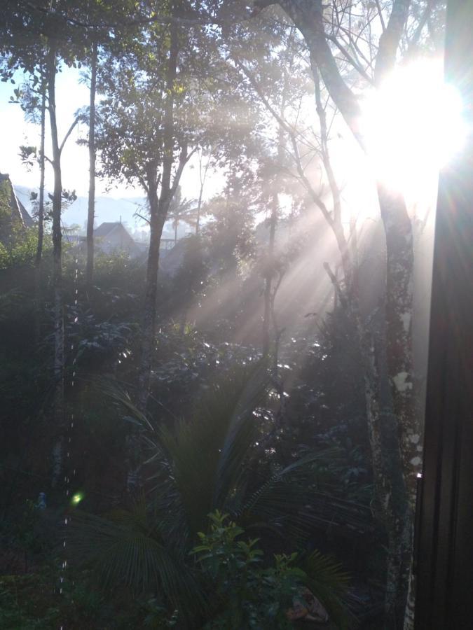 Winterhome Homestay Munnar Ngoại thất bức ảnh