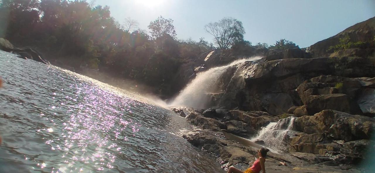 Winterhome Homestay Munnar Ngoại thất bức ảnh