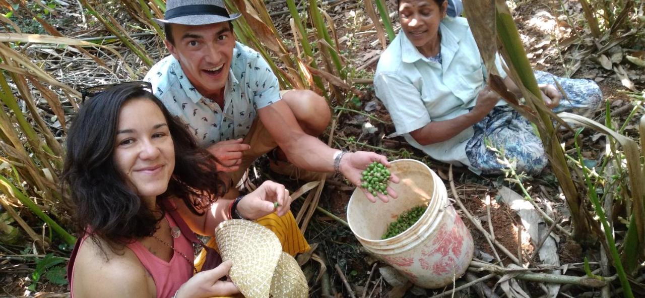Winterhome Homestay Munnar Ngoại thất bức ảnh