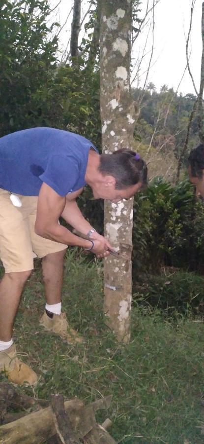 Winterhome Homestay Munnar Ngoại thất bức ảnh