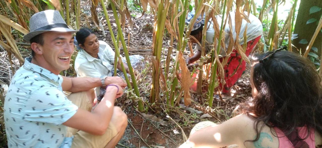 Winterhome Homestay Munnar Ngoại thất bức ảnh