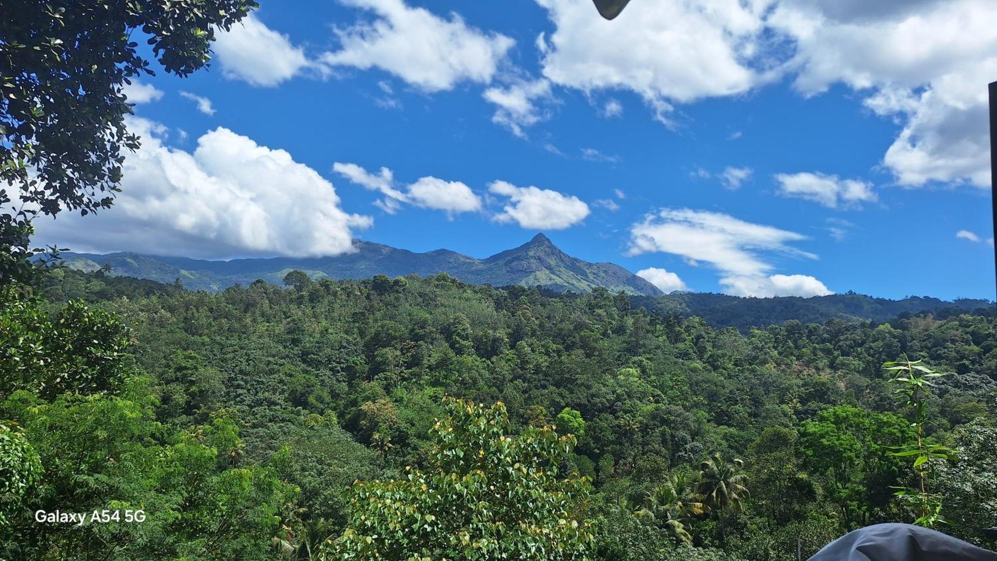 Winterhome Homestay Munnar Phòng bức ảnh